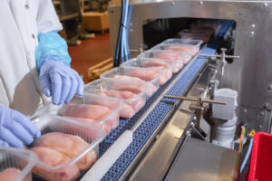 employee fixing food in broken conveyor belt of xray food inspection system