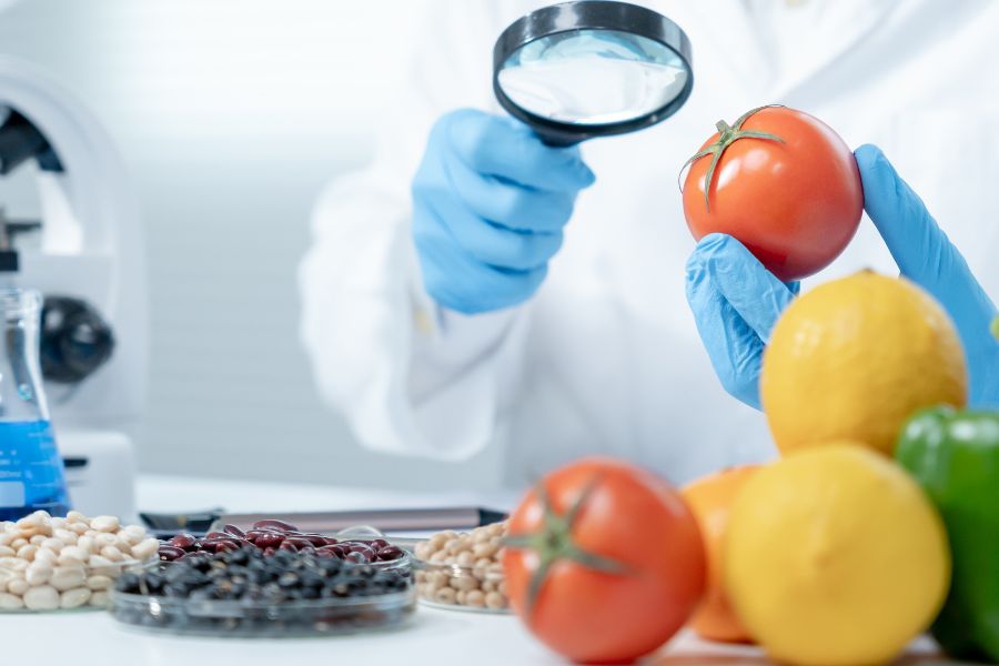 scientist check chemicals fruit residues in laboratory