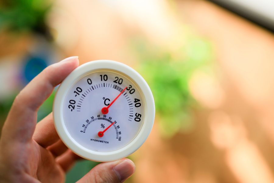 woman checking the temperature and humidity in food production