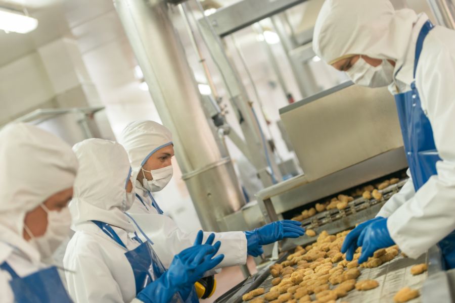 workers at food production line